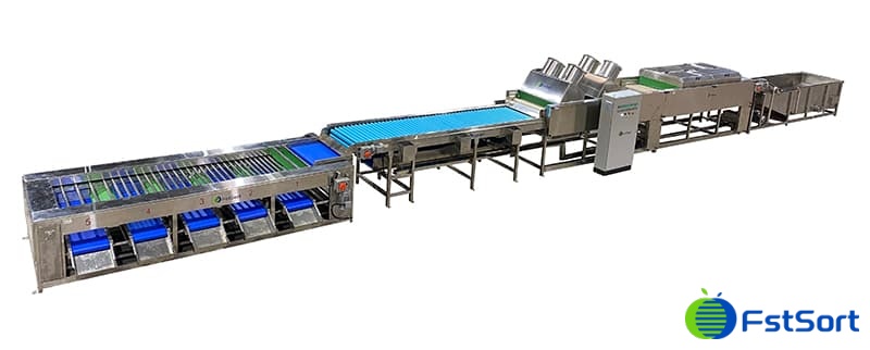 images/1656057059274Sweet Potatoes Select Equipment.jpg